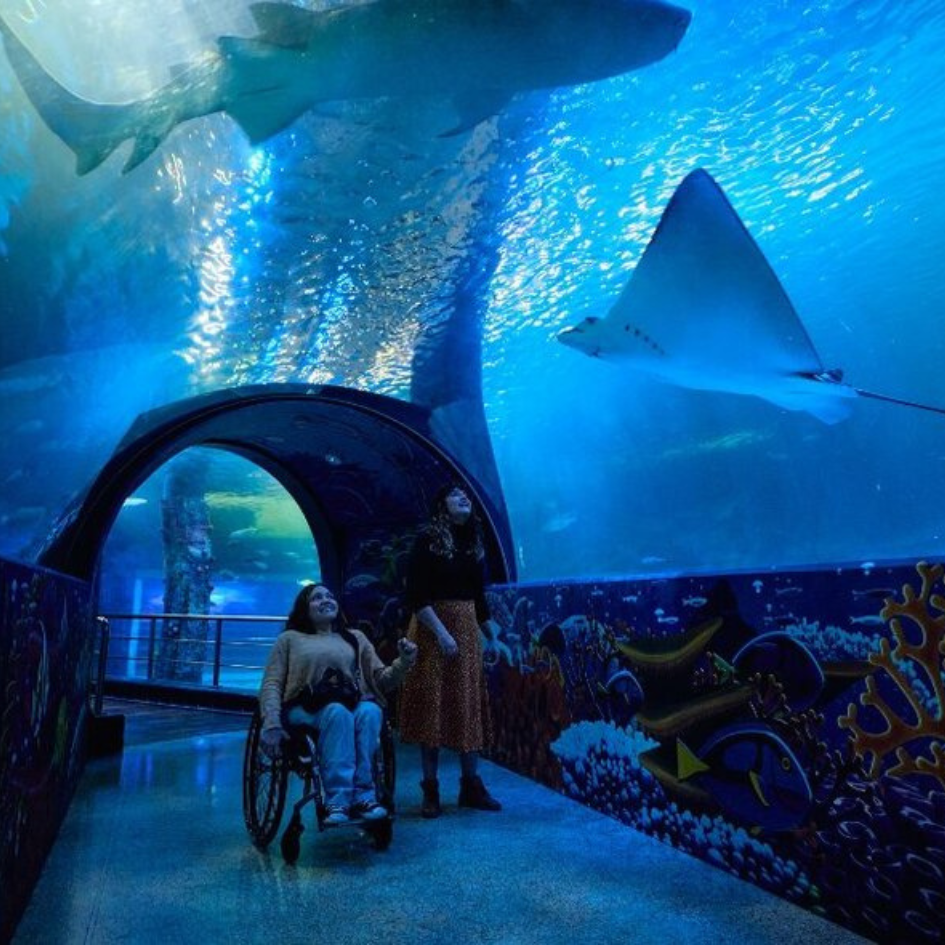 Two people, one standing one in wheelchair looking at sea life at the aquarium