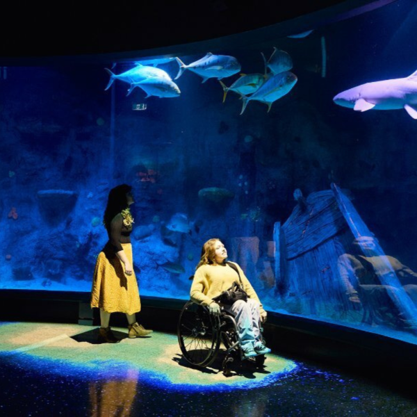 Girl in wheelchair at the Aquarium